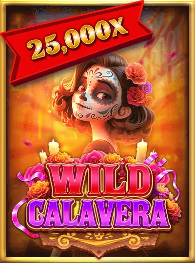 Classic video slot machine game cover